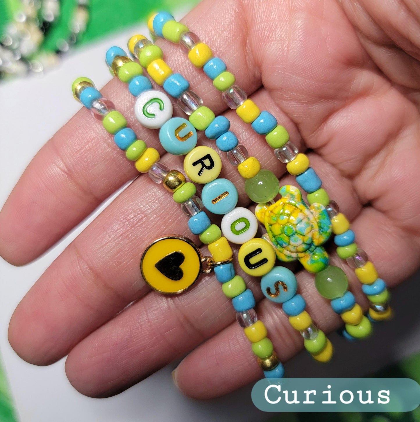 The Turtle Collection